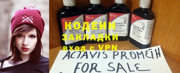 гашик Новозыбков