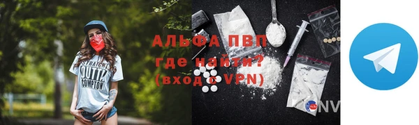 гашик Новозыбков