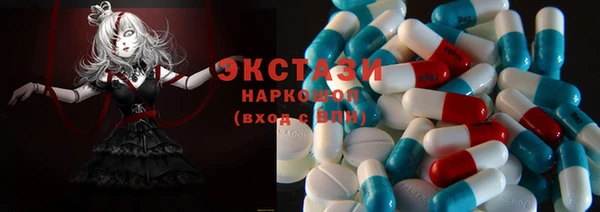 гашик Новозыбков