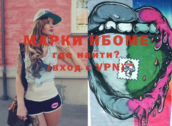 гашик Новозыбков