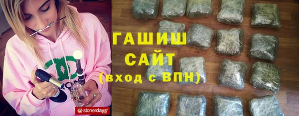 гашик Новозыбков