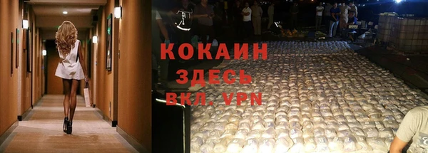mdma Новодвинск