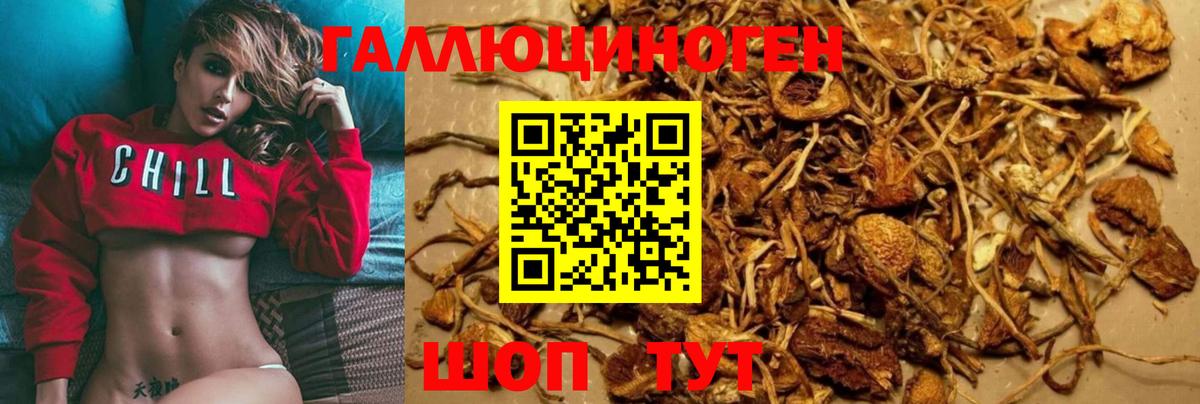 Галлюциногенные грибы ЛСД  Галлюциногенные грибы Psilocybe  Вход с VPN  Кумертау 
